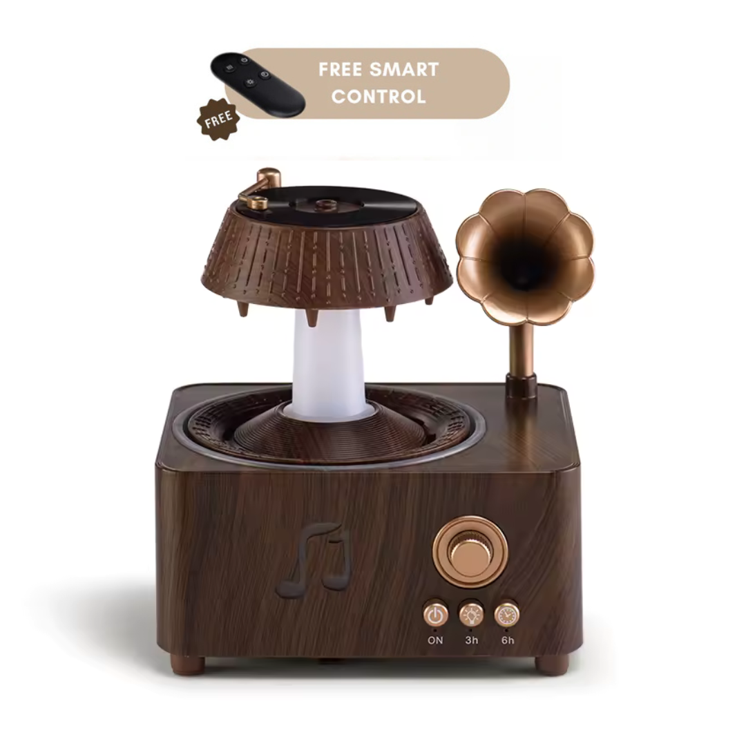 VinyMist - Vintage Record Diffuser