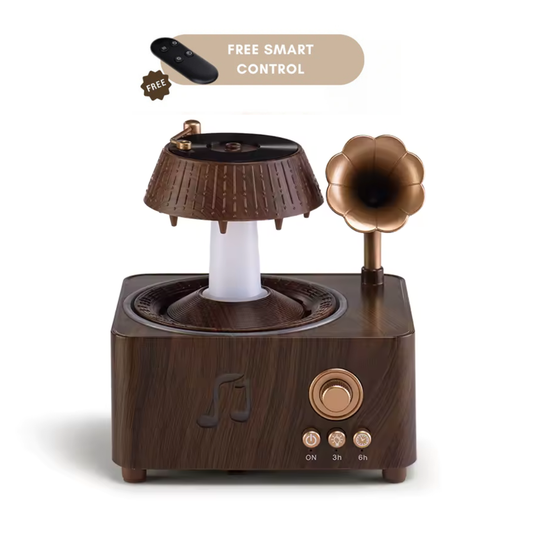 VinyMist - Vintage Record Diffuser